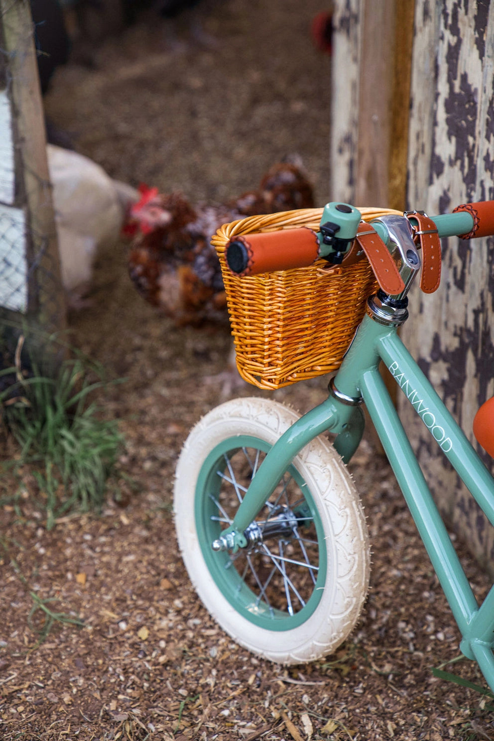 Children's bicycle with a basket in an outdoor setting with chickens.