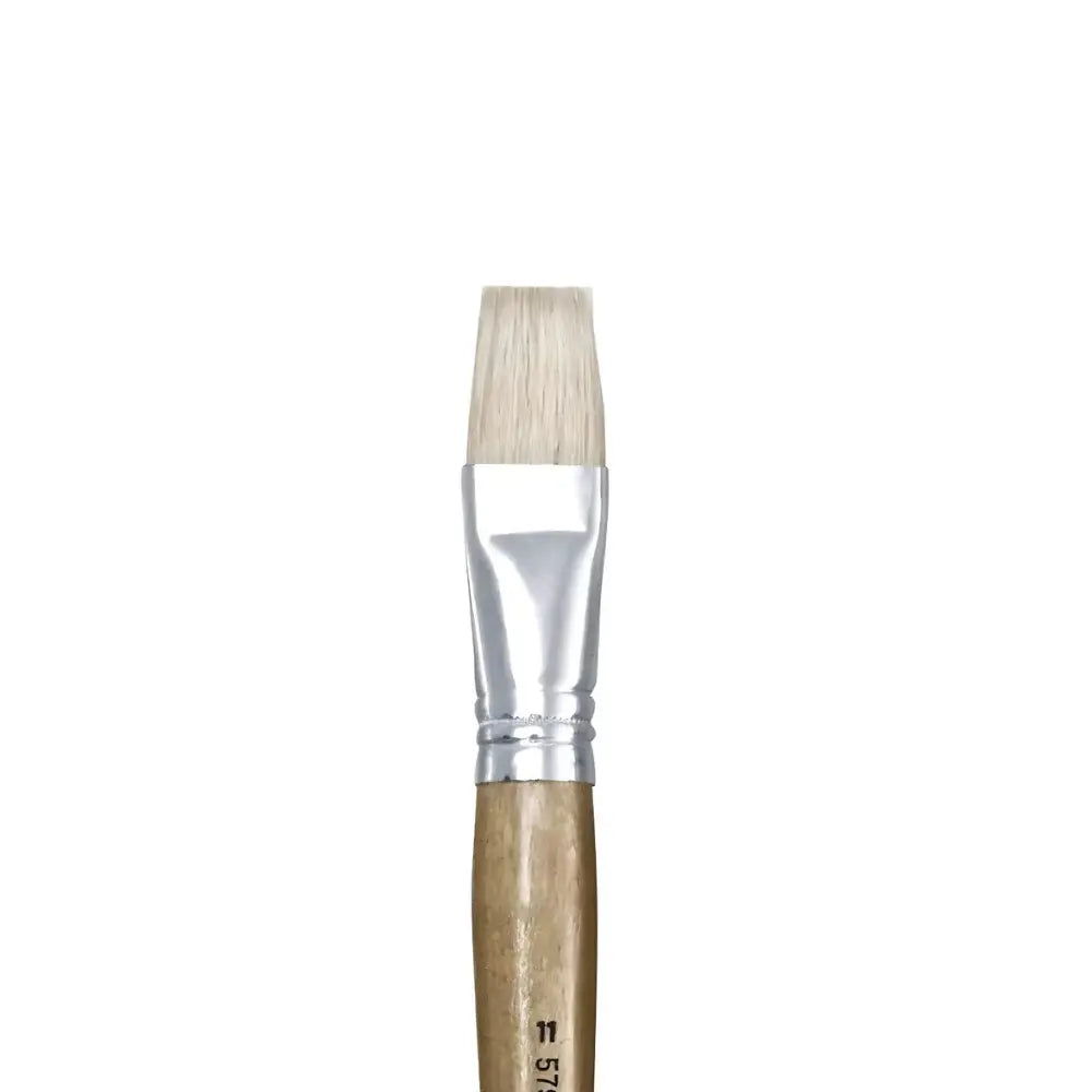 Close-up of flat boar bristle paint brush head showing natural bristles and metal ferrule