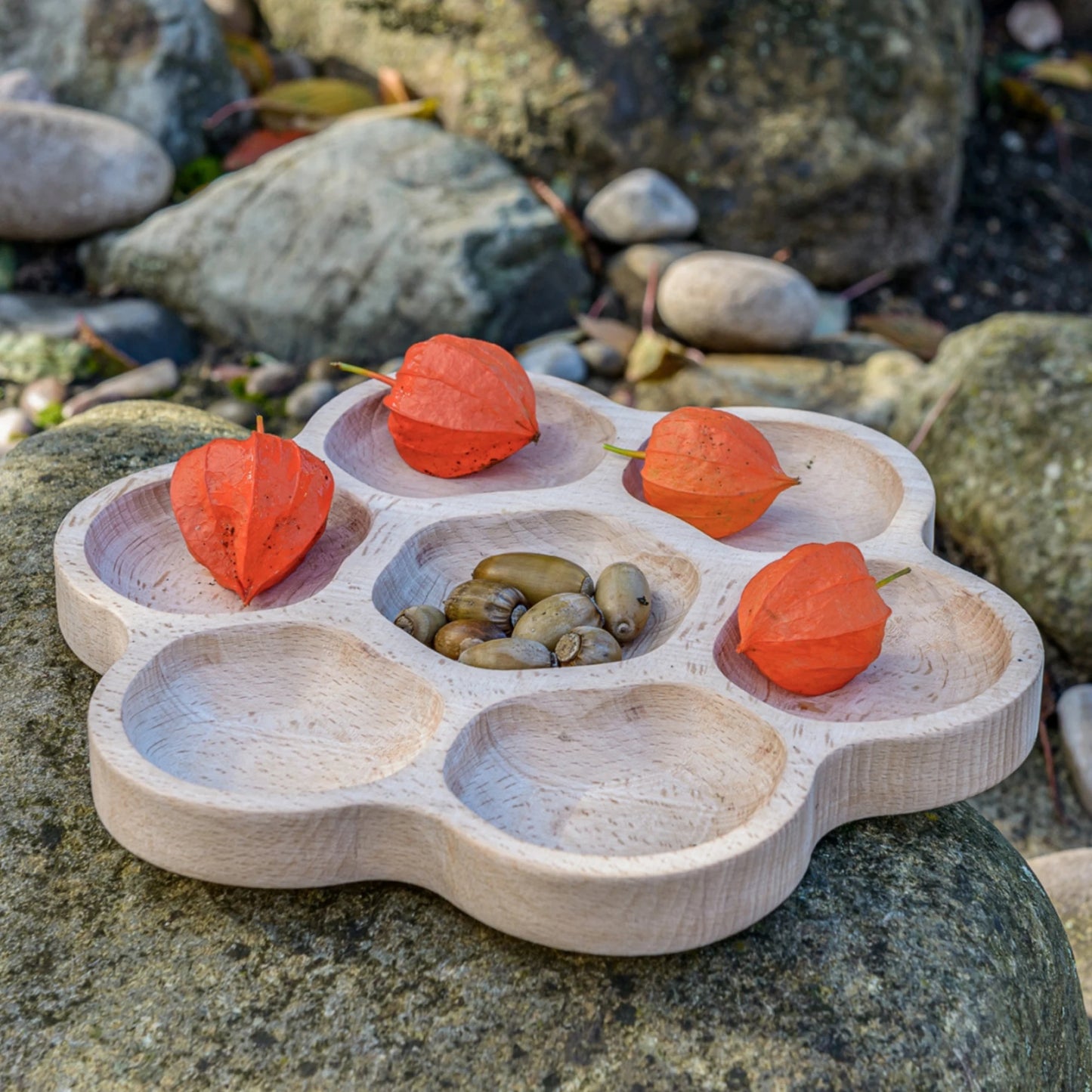7 compartment wooden nature sorting tray on a rocky, outdoor background with flower petals and acorns