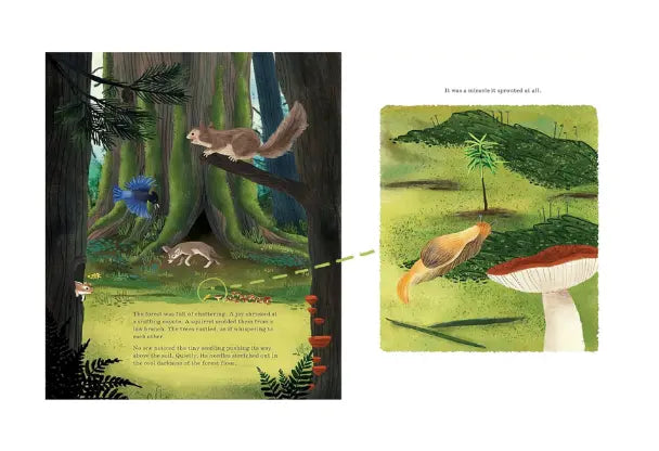 Illustrations of animals in a forest setting with a close-up of a banana slug on a mushroom.