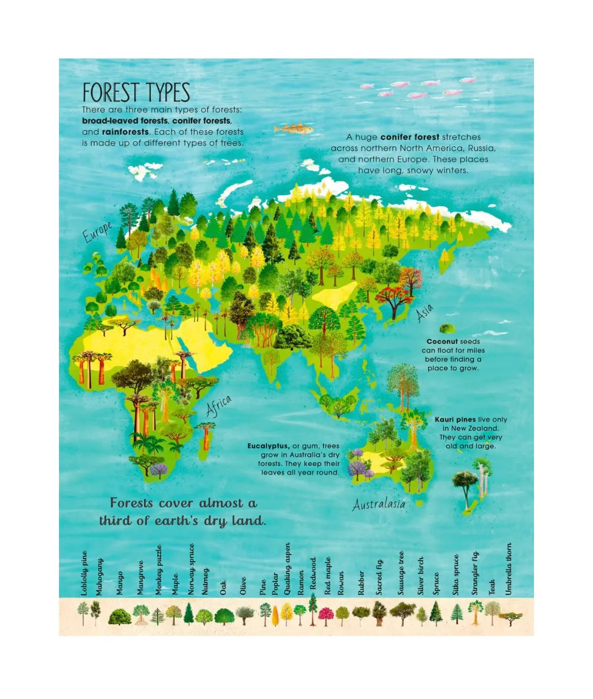 illustration of tree forests across Africa, Europe, Asia, and Australia