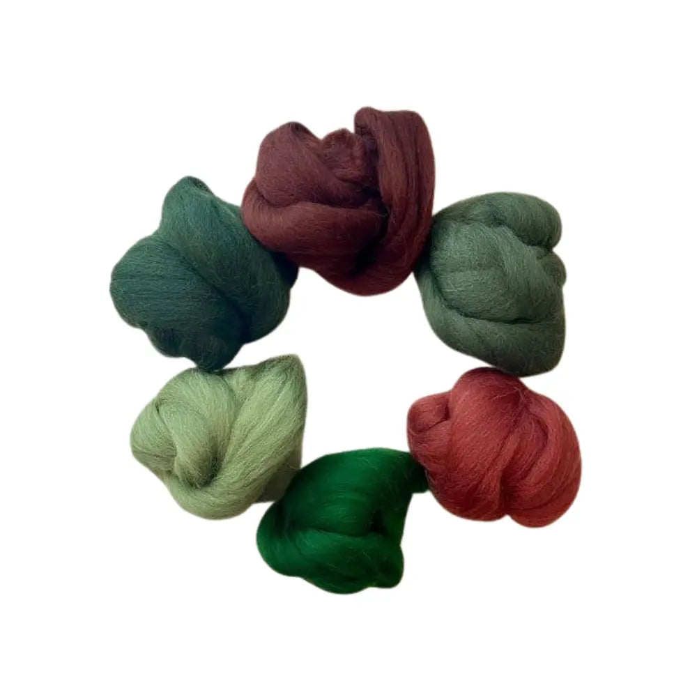 six Forest Plum wool top color bundle for spinning and felting on white