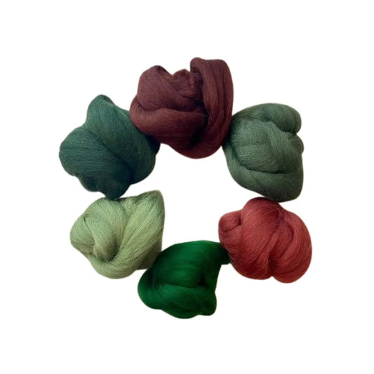 six Forest Plum wool top color bundle for spinning and felting on white