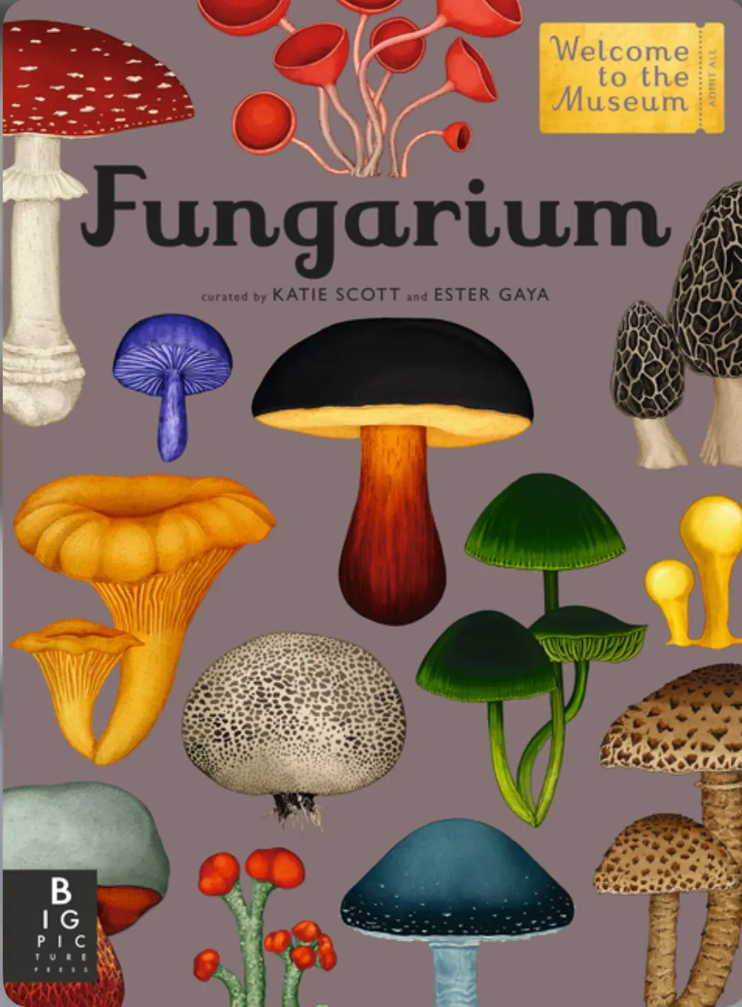 Full cover of Fungarium: Welcome to the Museum, an illustrated reference book about fungi and mushrooms