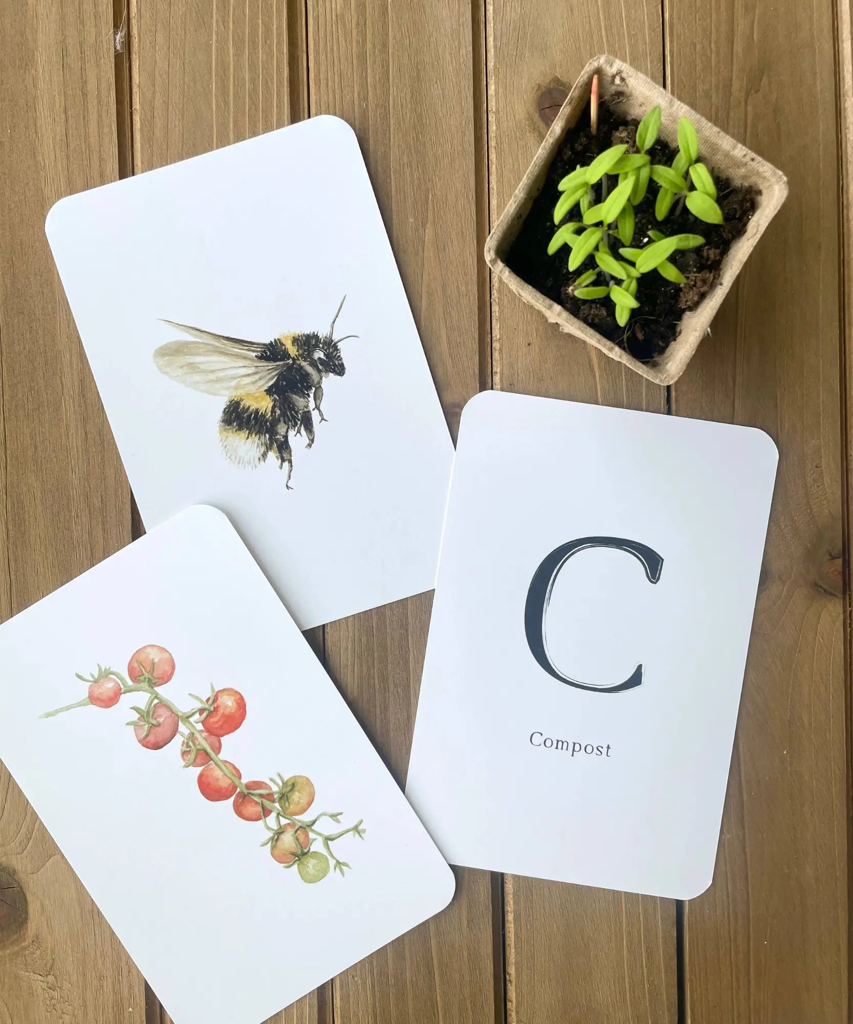 Garden alphabet cards with bee illustration and plant-themed letter cards
