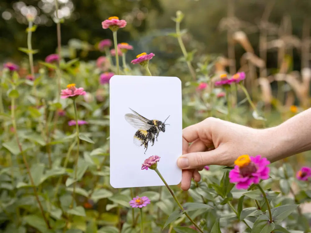 Garden alphabet cards used outdoors among flowers for nature-based learning