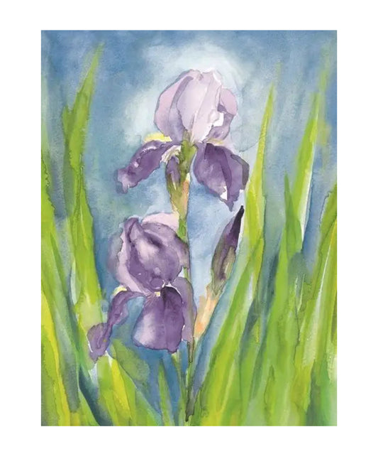 German Iris postcard by Marjan van Zeyl