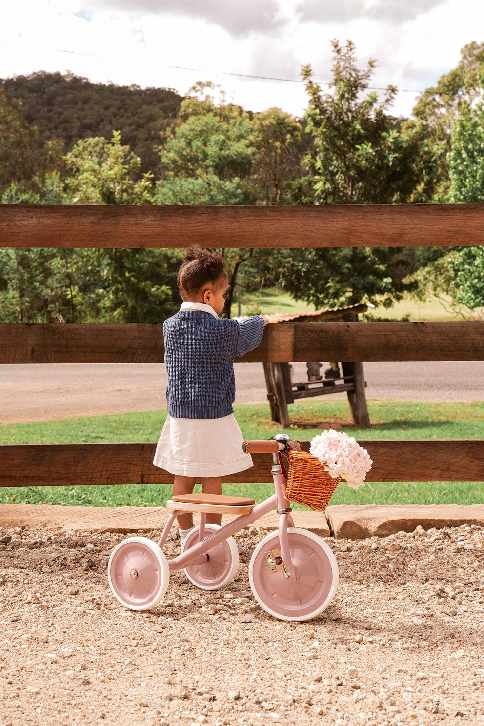 Child with a tricycle and basket of flowers near a wooden fence outdoors.