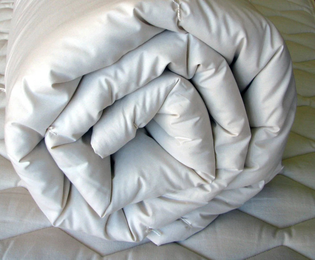 GOTS certified wool comforter rolled showing organic wool fill and organic cotton shell