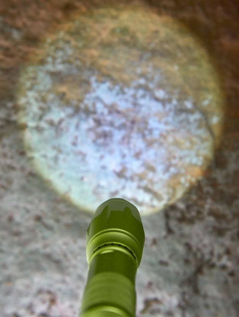 Terra Kids 4-Way Flashlight – Kids Camping & Exploration Light