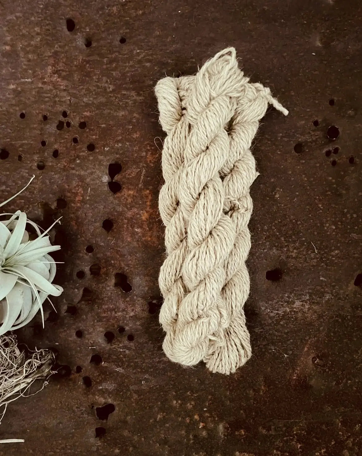 hanks of navajo churro tapestry wool on a textured brown surface with a plant