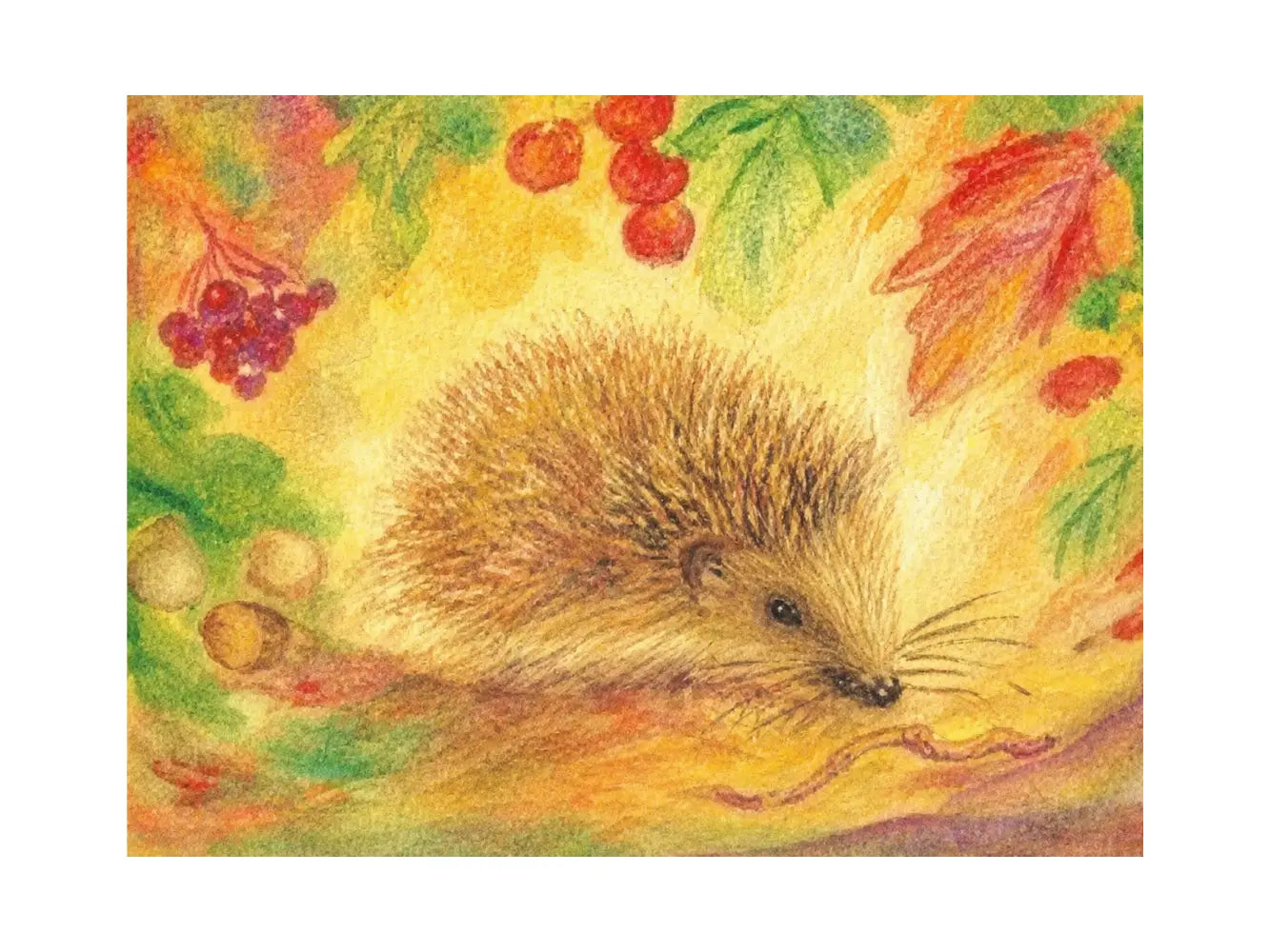 Hedgehog in Autumn postcard by Marjan van Zeyl of a small hedgehog, autumn leaves, berries, and acorns
