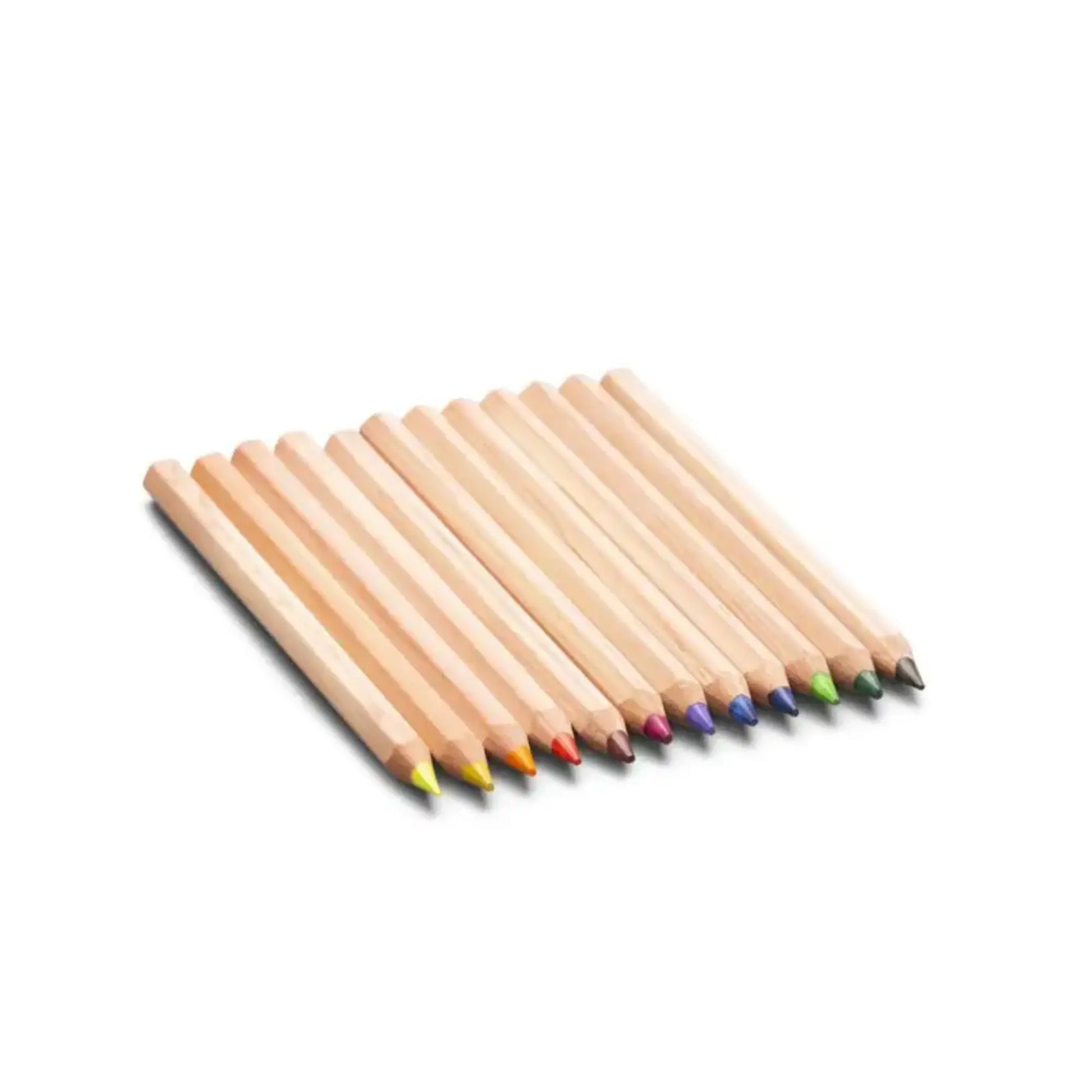 Set of yorik colored pencils with colored tips on a white background
