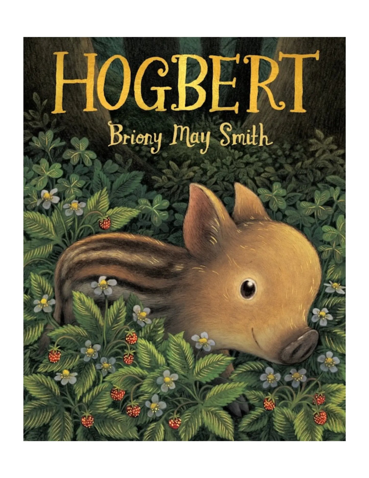 Book cover of 'Hogbert' by Briony May Smith with a pig illustration in a forest setting.