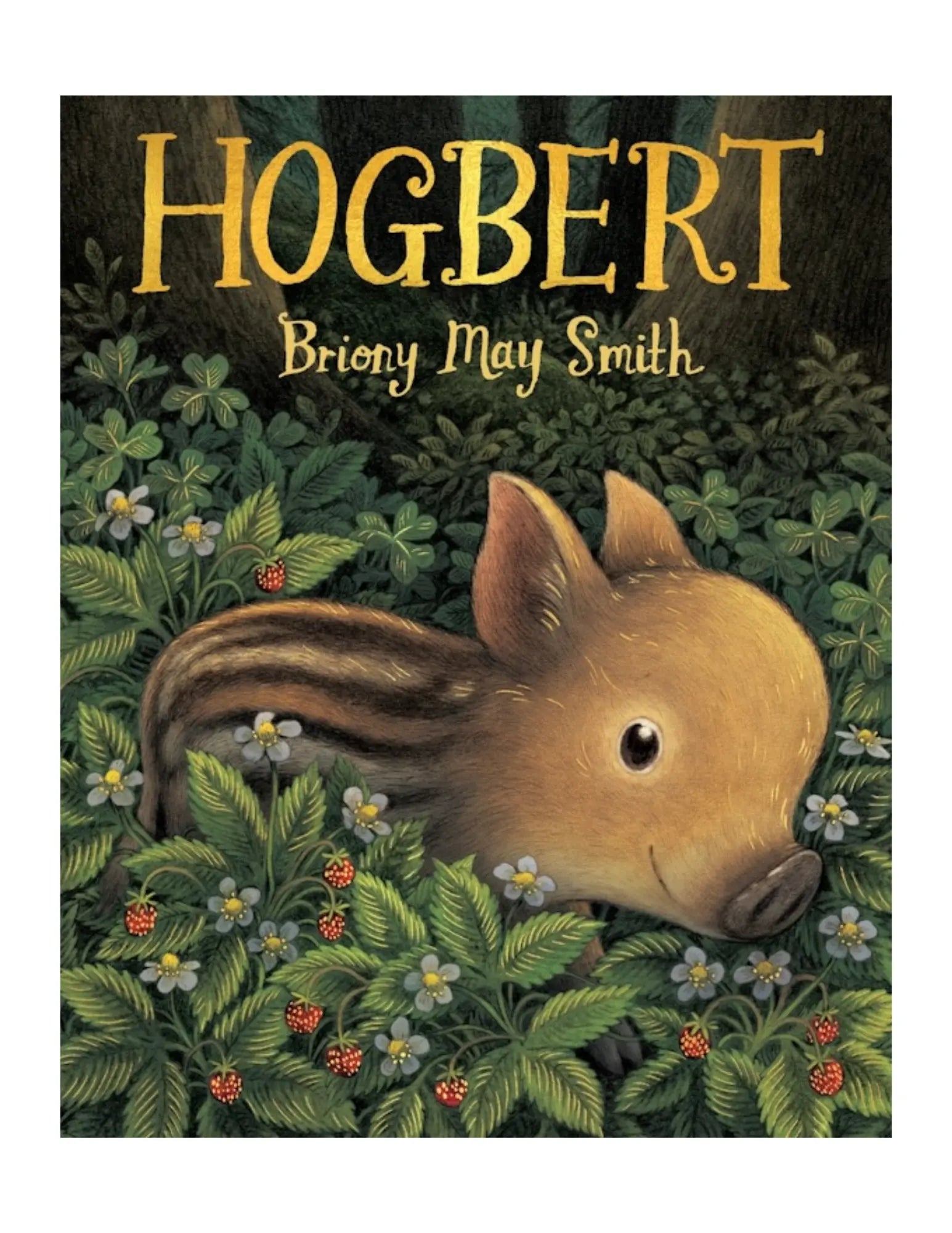 Book cover of 'Hogbert' by Briony May Smith with a pig illustration in a forest setting.