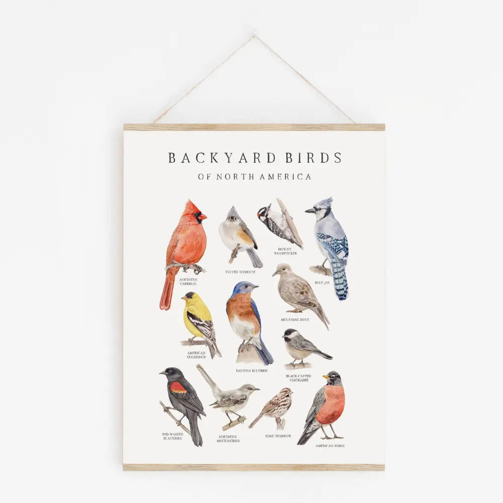 Watercolor print of North American Backyard Birds in a magnetic frame on white backyard