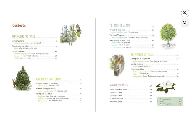 Book or digital page about trees with illustrations and text on a white background