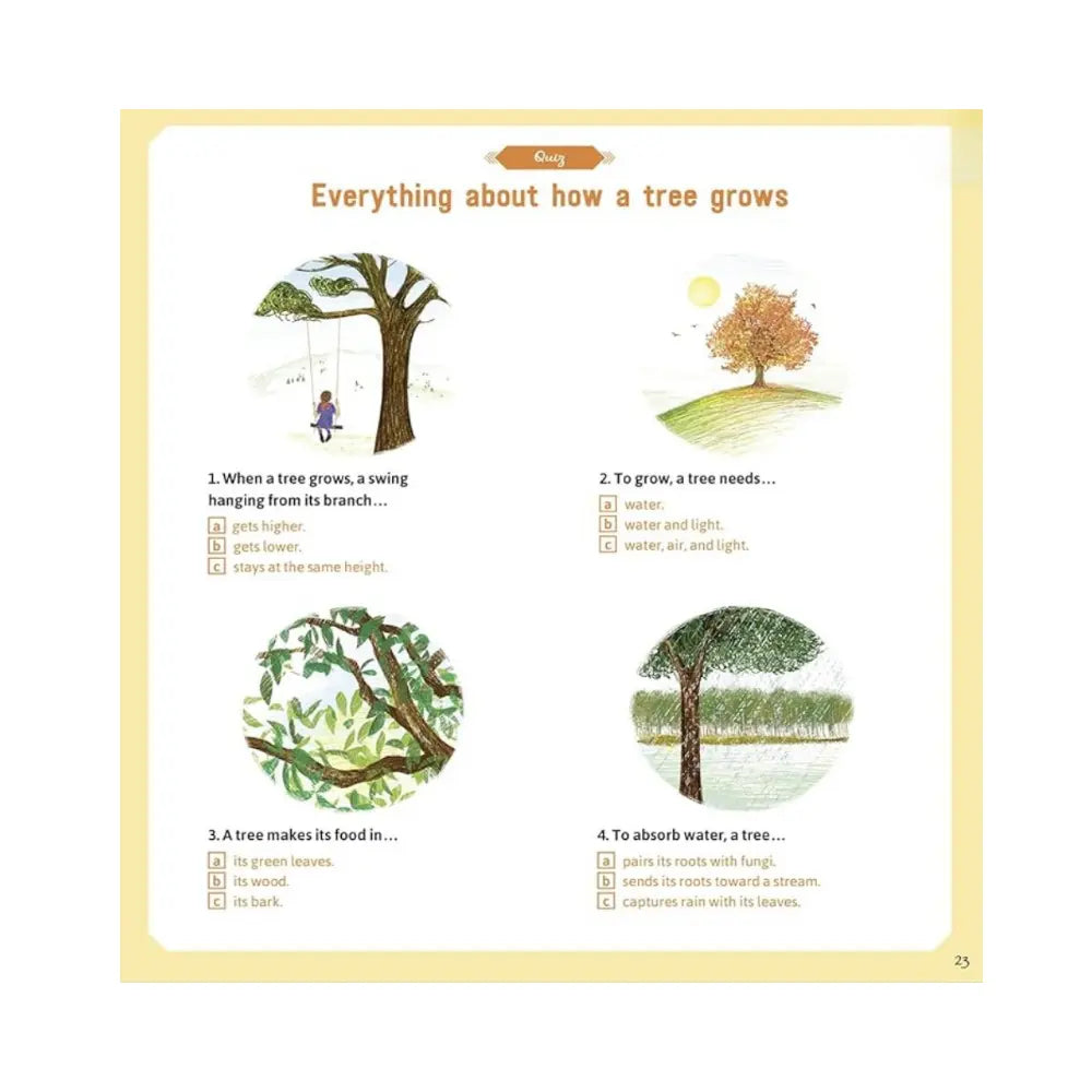 Educational page about tree growth with illustrations and text.