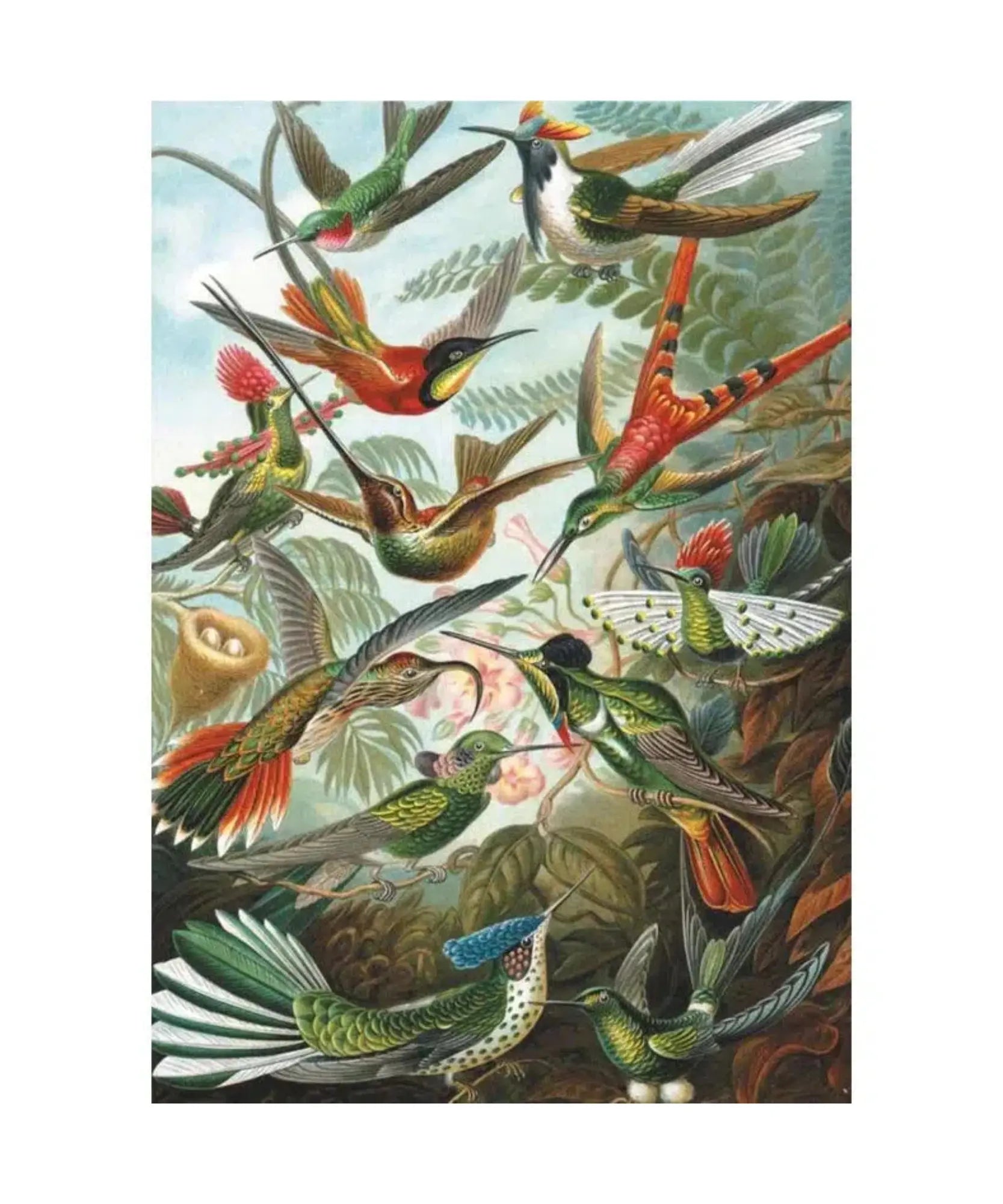 hummingbirds-1000-piece-jigsaw-puzzle-artwork