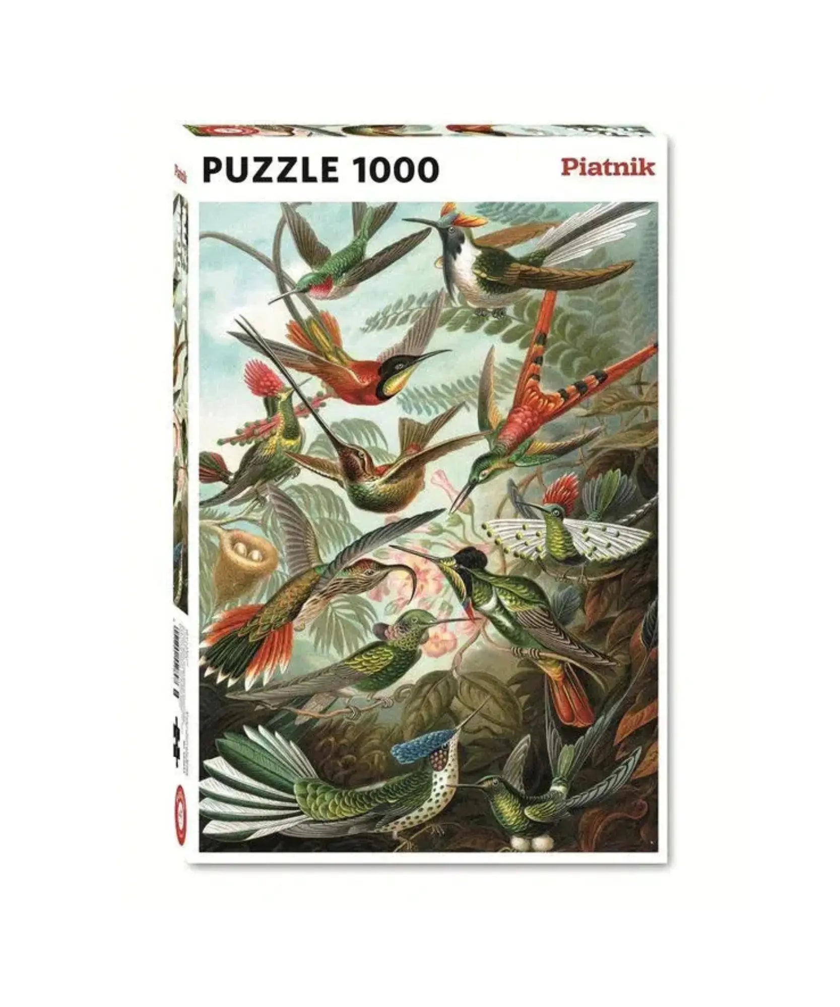 Piatnik Hummingbirds 1000 piece jigsaw puzzle box featuring Ernst Haeckel hummingbird artwork.