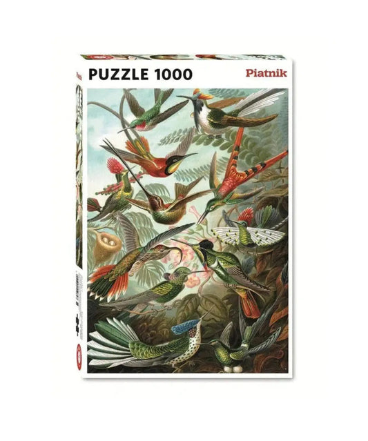 Piatnik Hummingbirds 1000 piece jigsaw puzzle box featuring Ernst Haeckel hummingbird artwork.