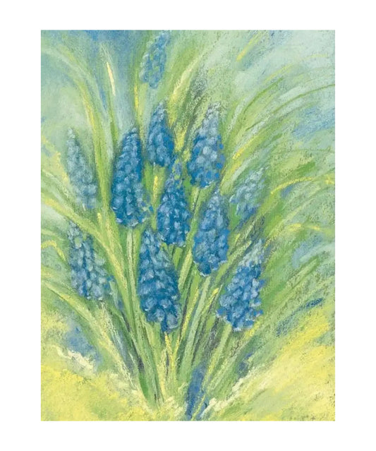 Grape Hyacinth postcard by Marjan van Zeyl