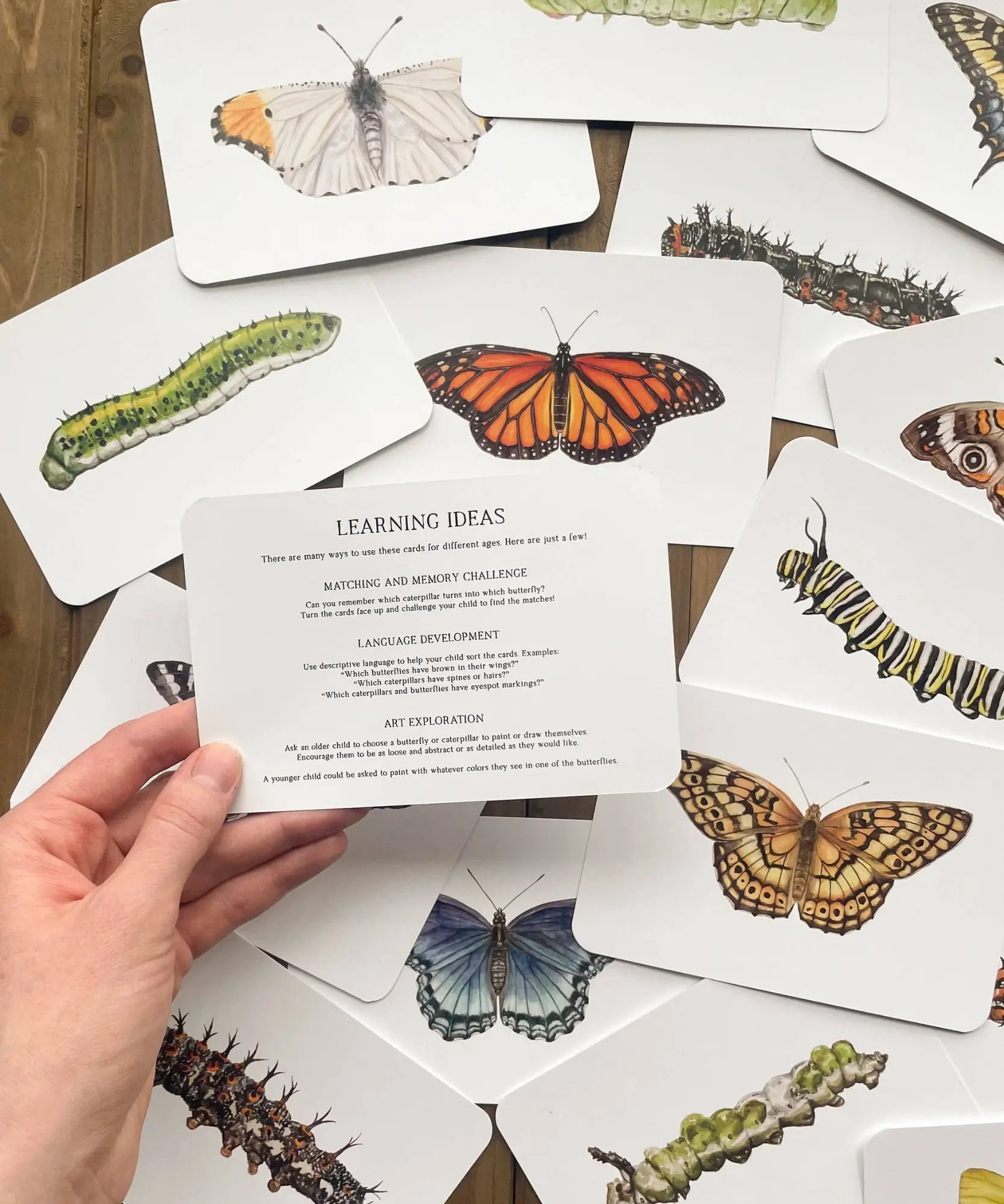 a person holding a card that says learning ideas over a table of butterflies and caterpillars