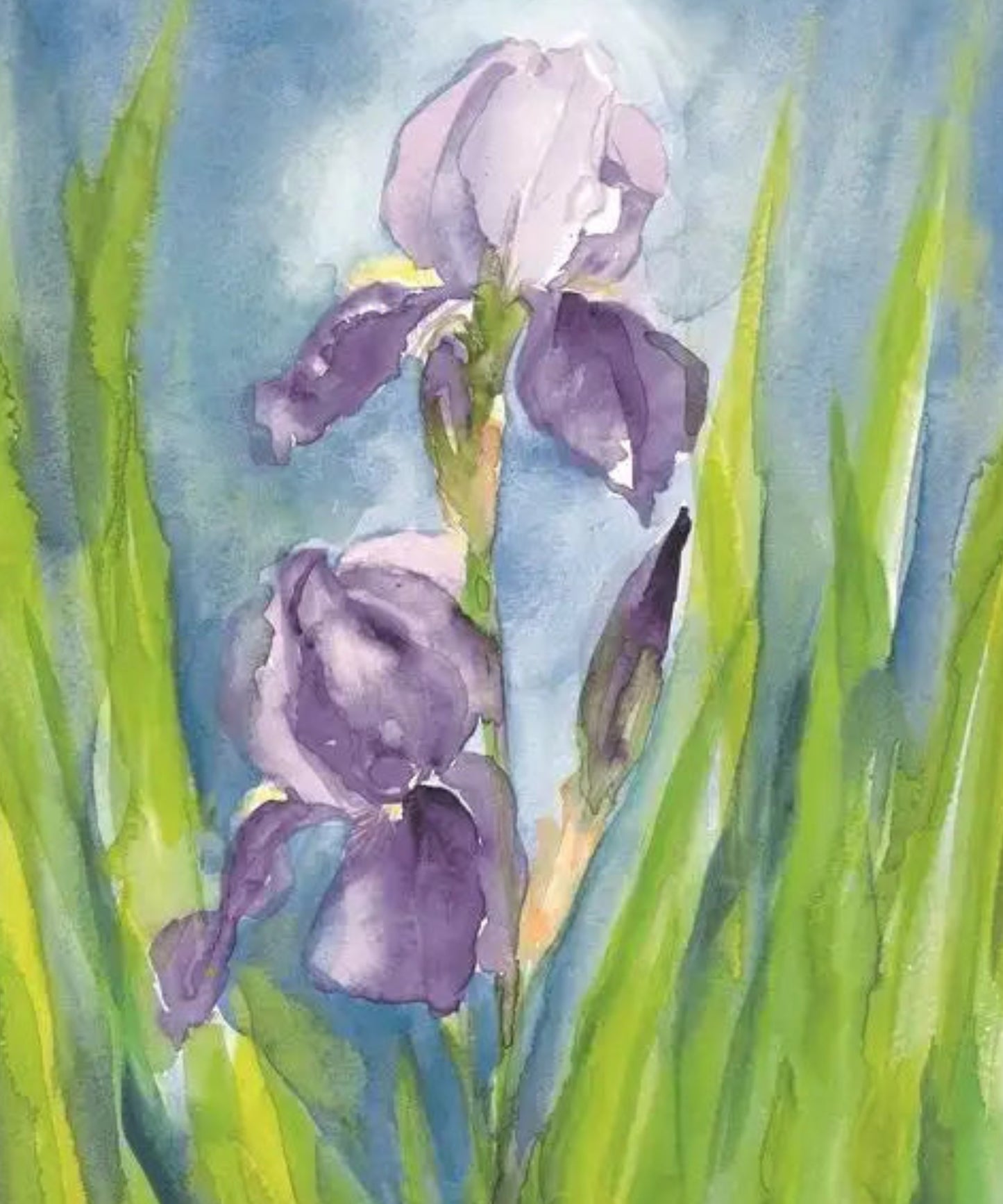 German Iris postcard by Marjan van Zeyl