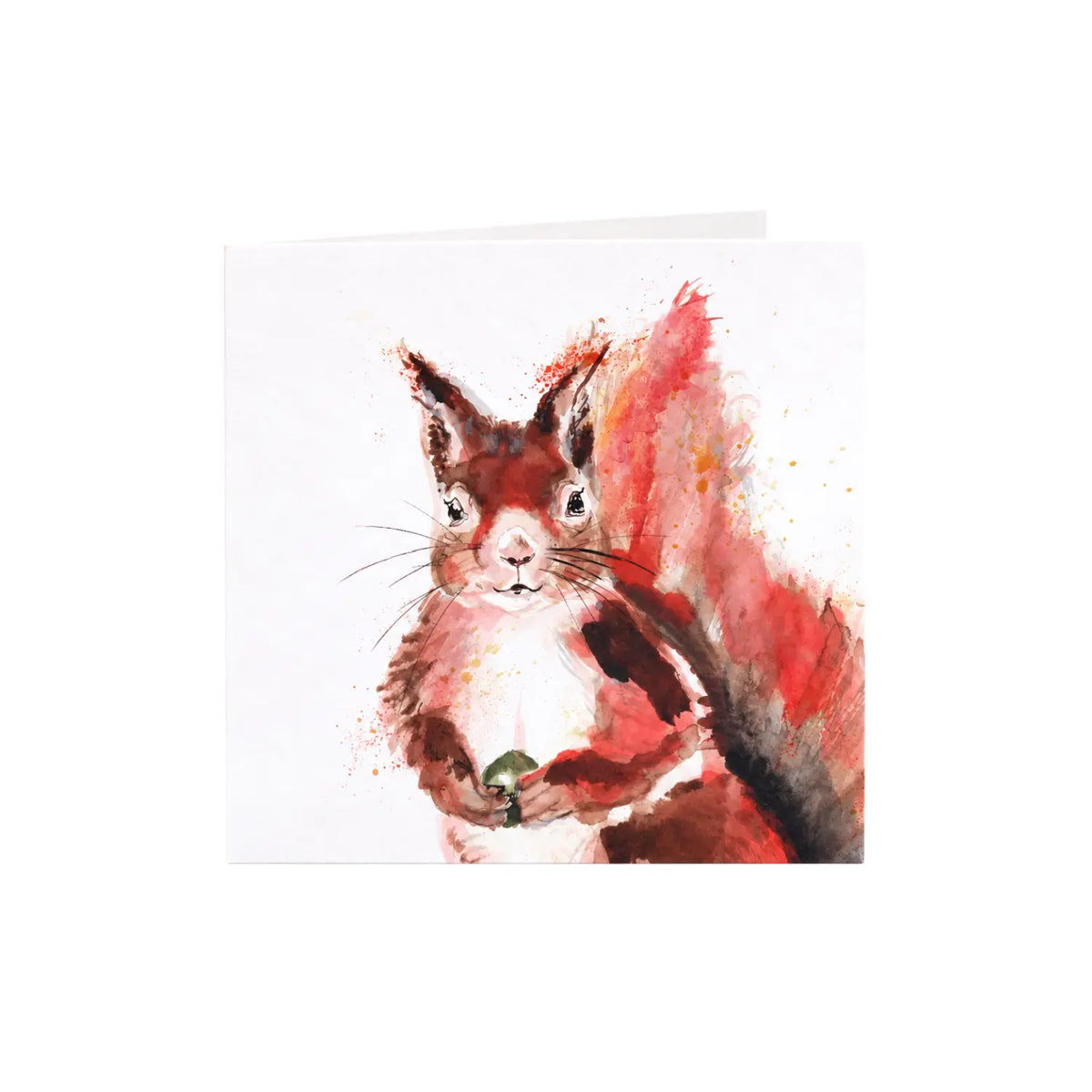 Kate Moby red squirrel greeting card with colorful ink illustration on a white background