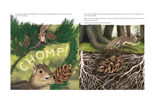 Illustrated book page with a squirrel, pine cones, and text 'CHOMP!' in a forest setting.