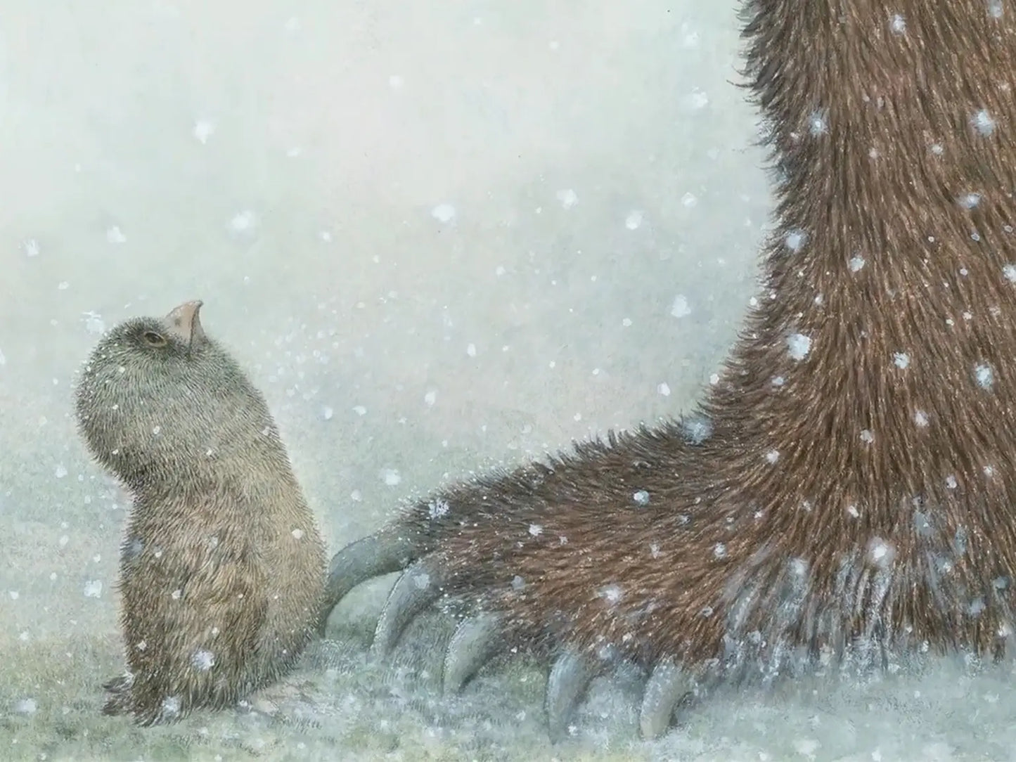 Small owl standing next to a large bear paw in the snow