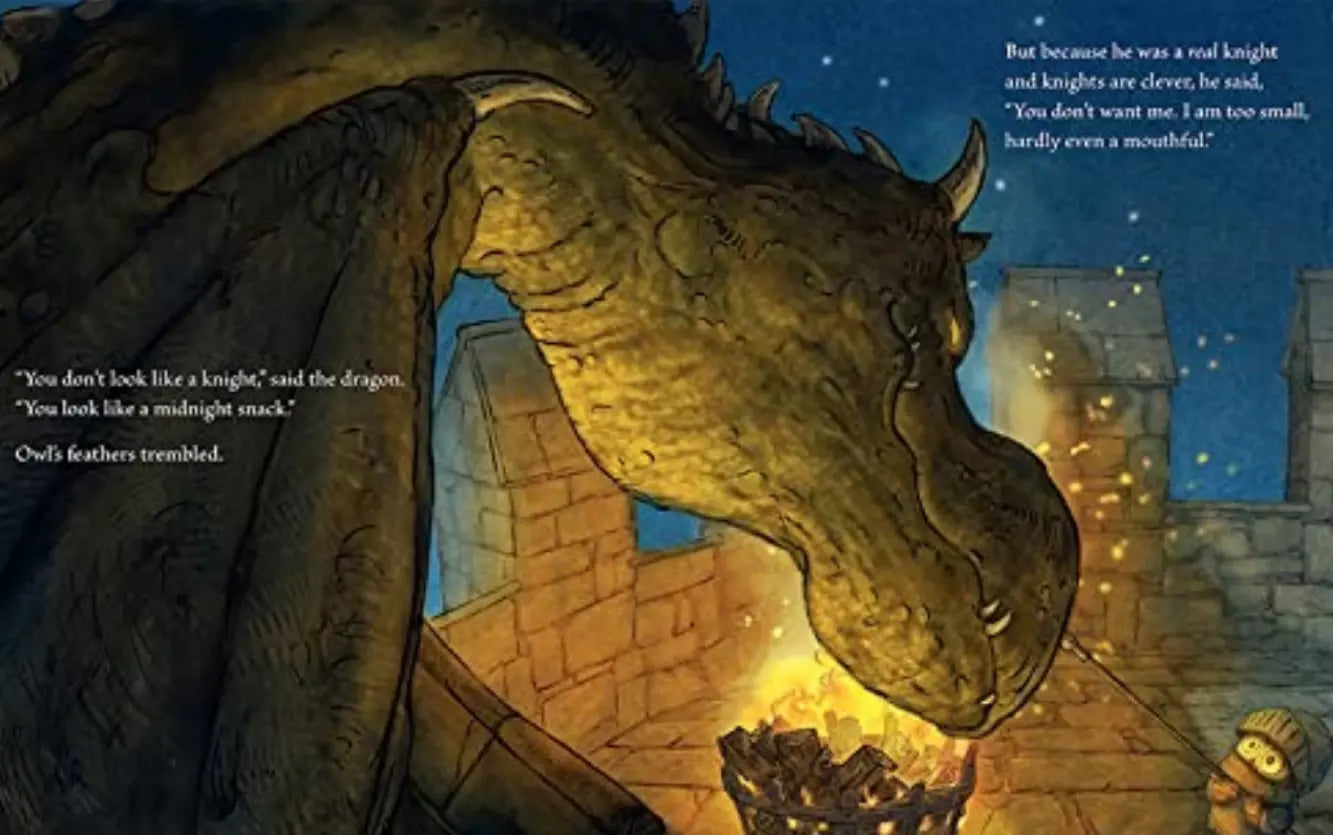 Illustration from Knight Owl showing a large dragon leaning toward tiny Owl knight beside a glowing nighttime castle fire.
