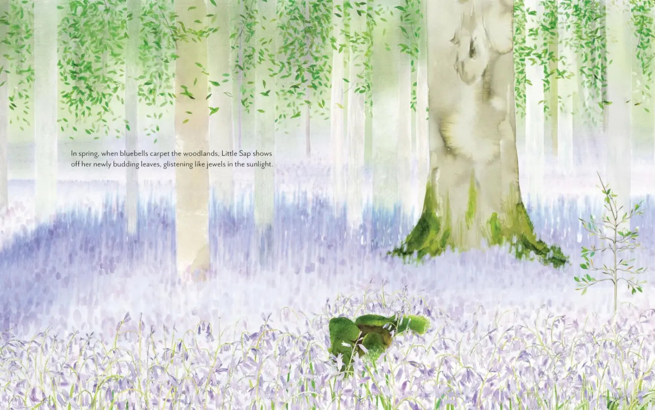 Illustration of a forest scene with bluebell flowers and a tree.