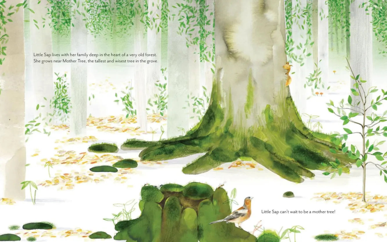 Illustration of a large tree with a smaller tree growing from its base in a forest setting.