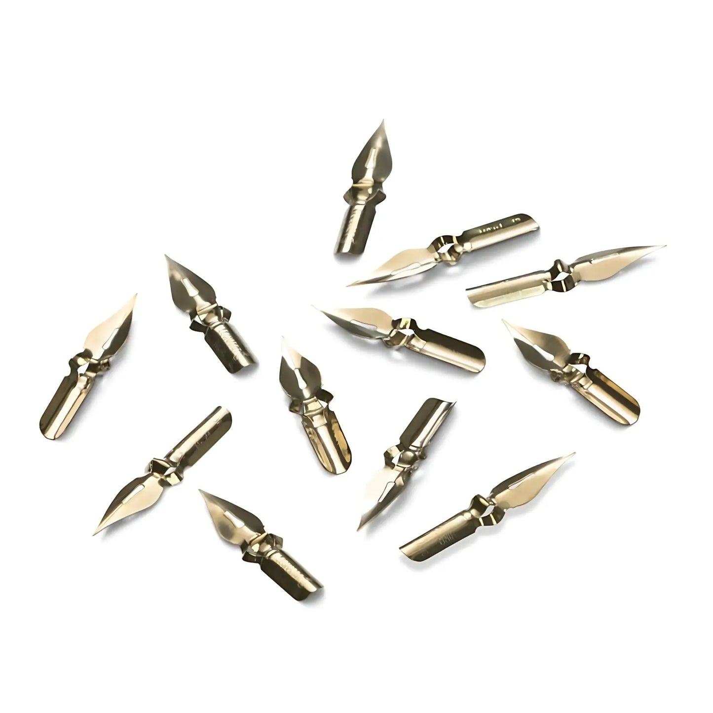 collection of calligraphy dip pen nibs in different styles for ink writing