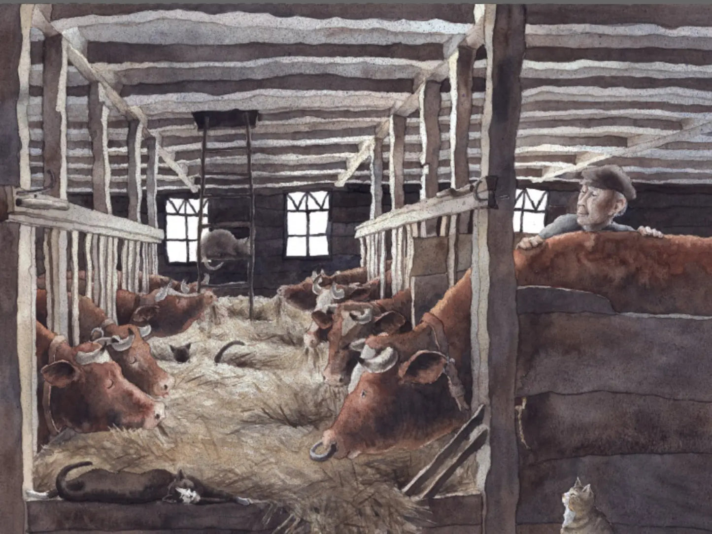 Cattle in a barn with a person observing them