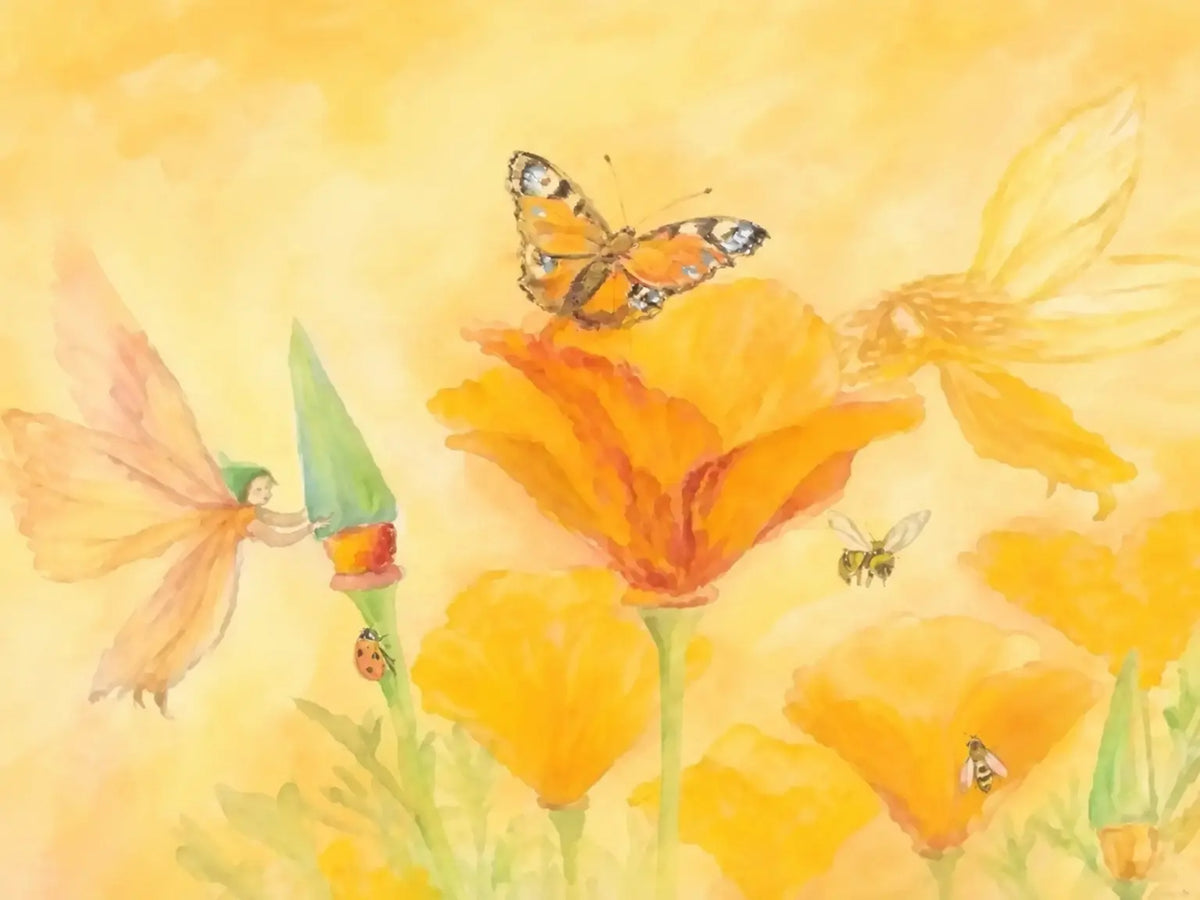 Waldorf fairy postcard by Marjan van Zayl of a fairy with a ladybug, bee, and butterfly on orange poppies