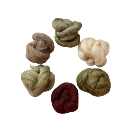 Set of six skeins of combed wool top in various earth tones on white
