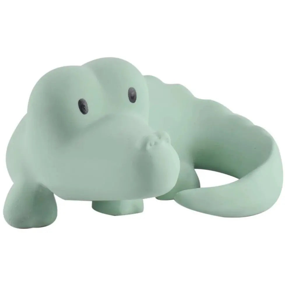 Natural rubber crocodile baby toy front view showing shape and size for infant sensory play