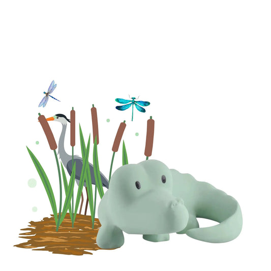 Natural rubber crocodile baby toy on illustrated lagoon background with reeds, heron, and dragonflies
