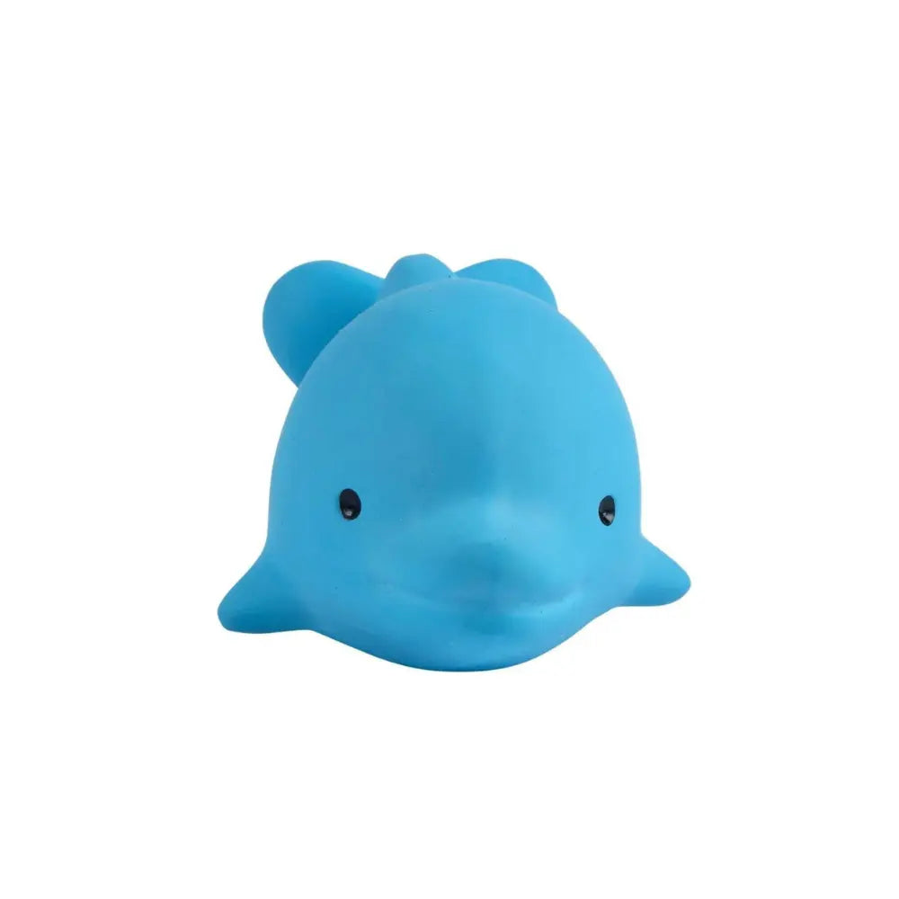 Natural rubber dolphin baby toy front view highlighting face and grip-friendly design on white