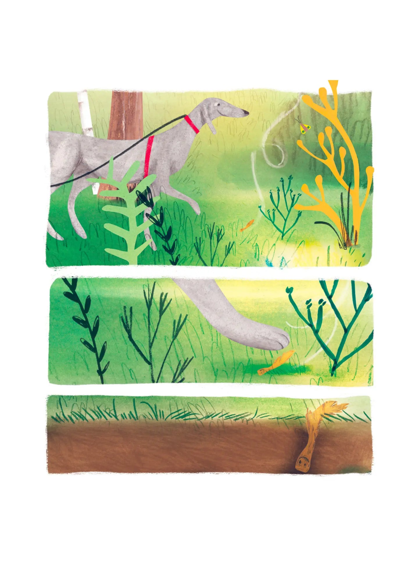illustration of a dog on a walk stepping on a maple leaf samara seed pod