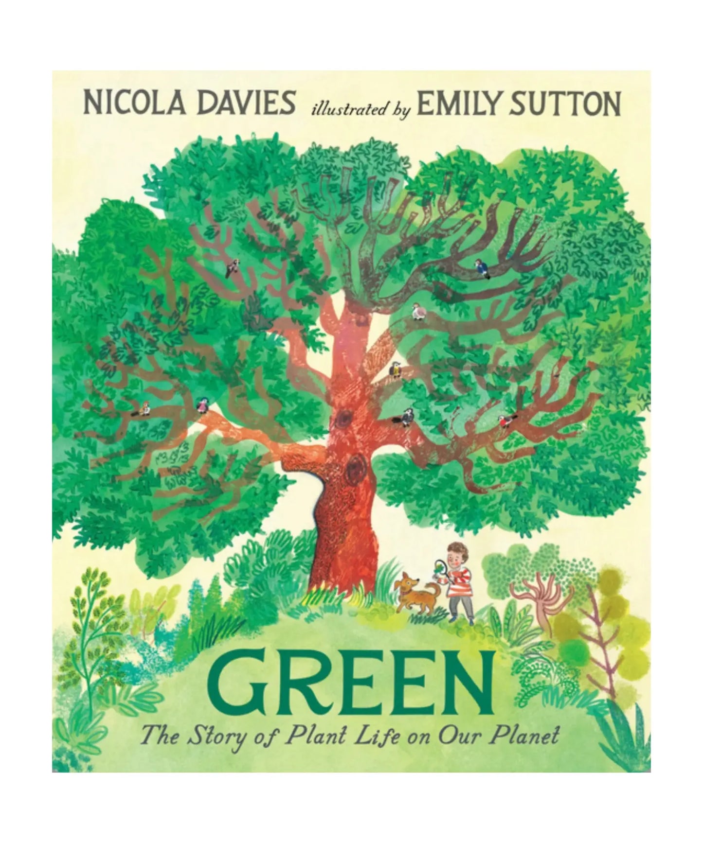 Book cover of 'Green' by Nicola Davies and Emily Sutton with a large tree and children illustration.