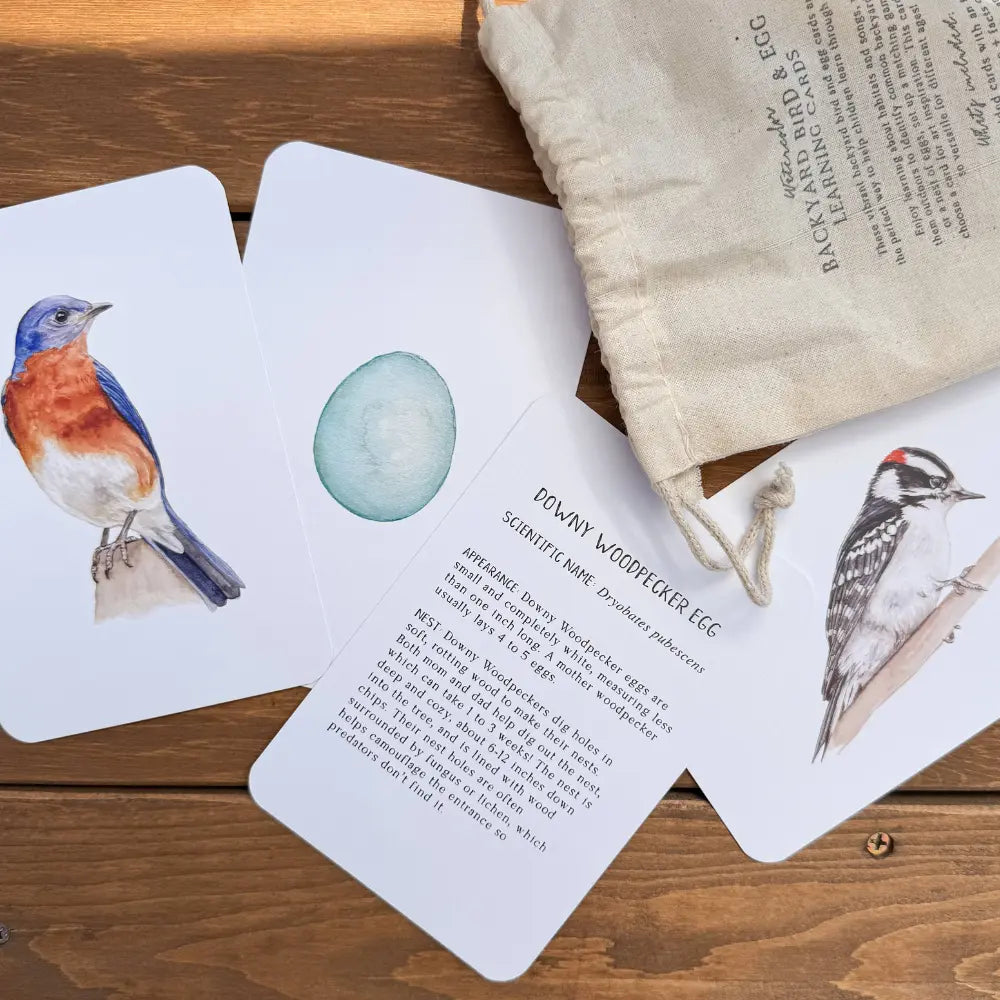 Educational cards with bird illustrations and information on a wooden surface