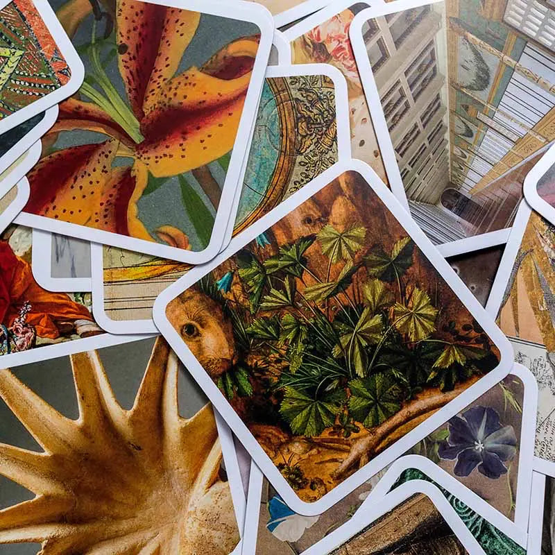Close up of additional OuiSi Getty cards showing different artwork details