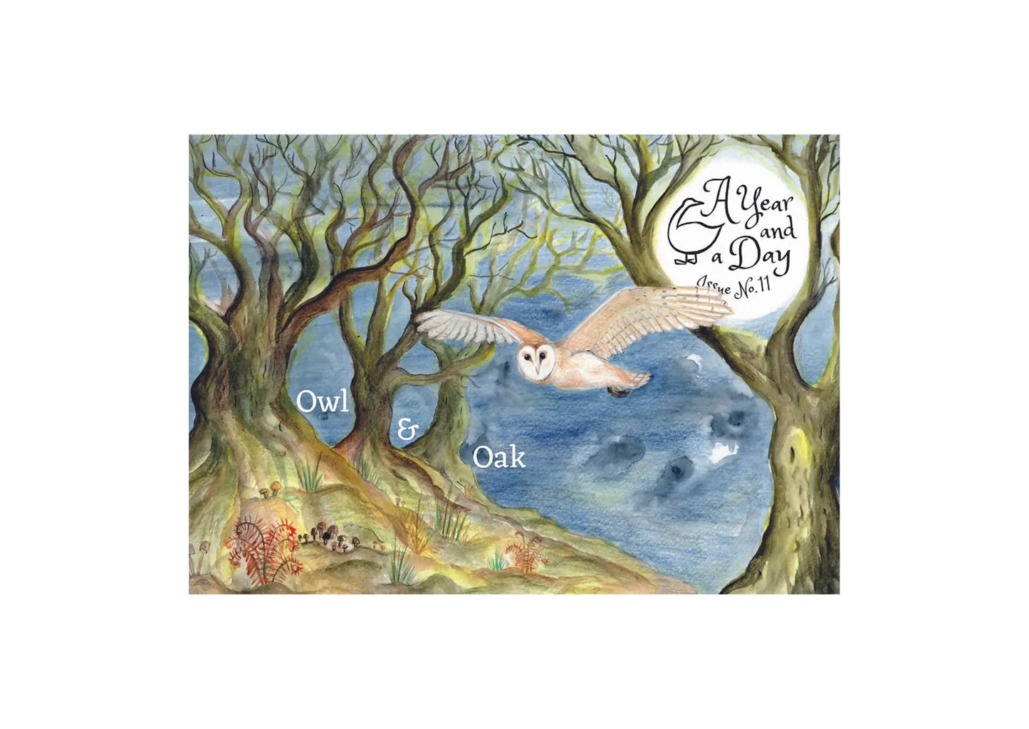Children's nature magazine cover with an owl flying between two trees, titled 'A Year and a Day'.