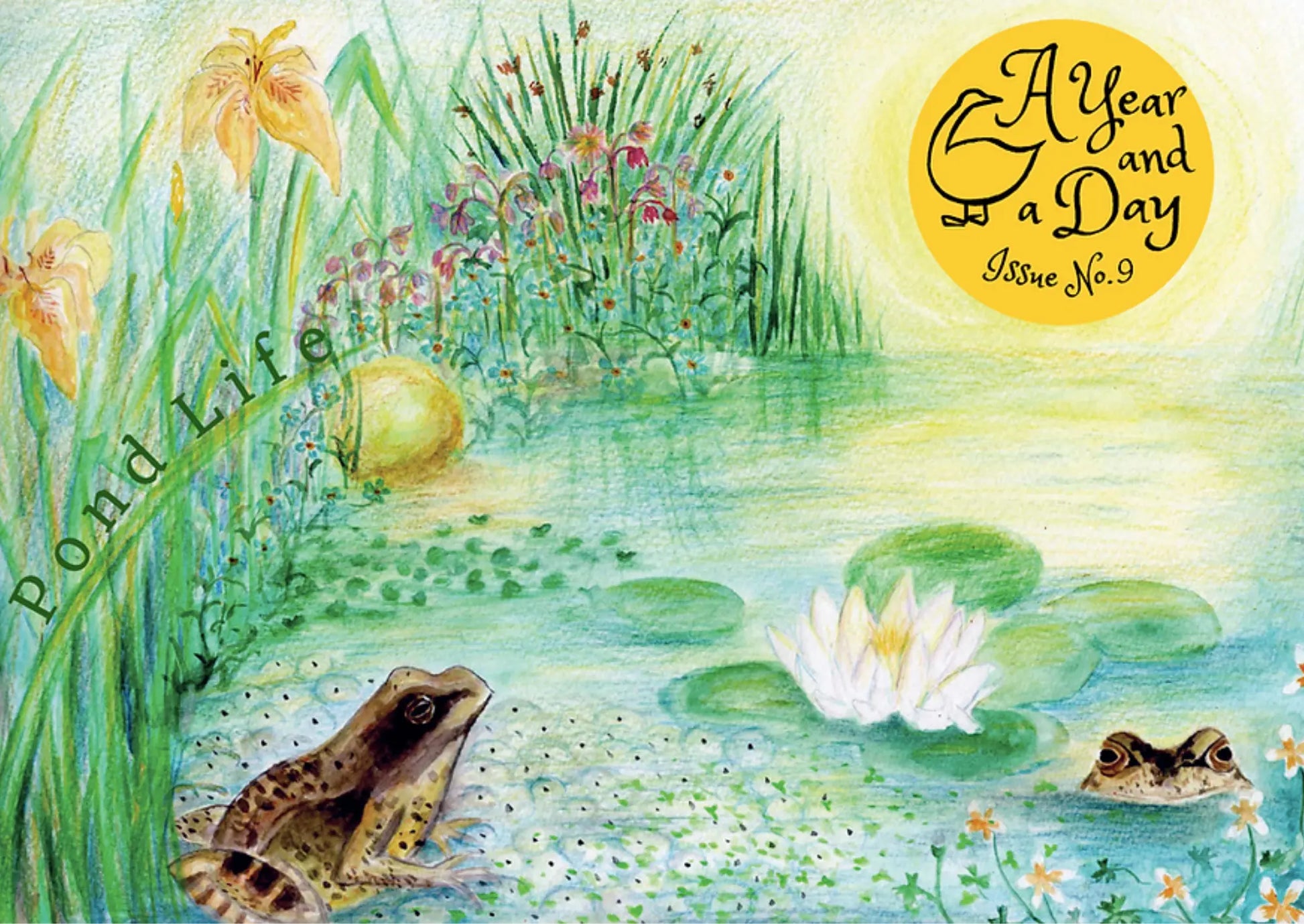 Illustration of a pond scene with frogs, lilies, and flowers, featuring 'A Year and a Day' branding.