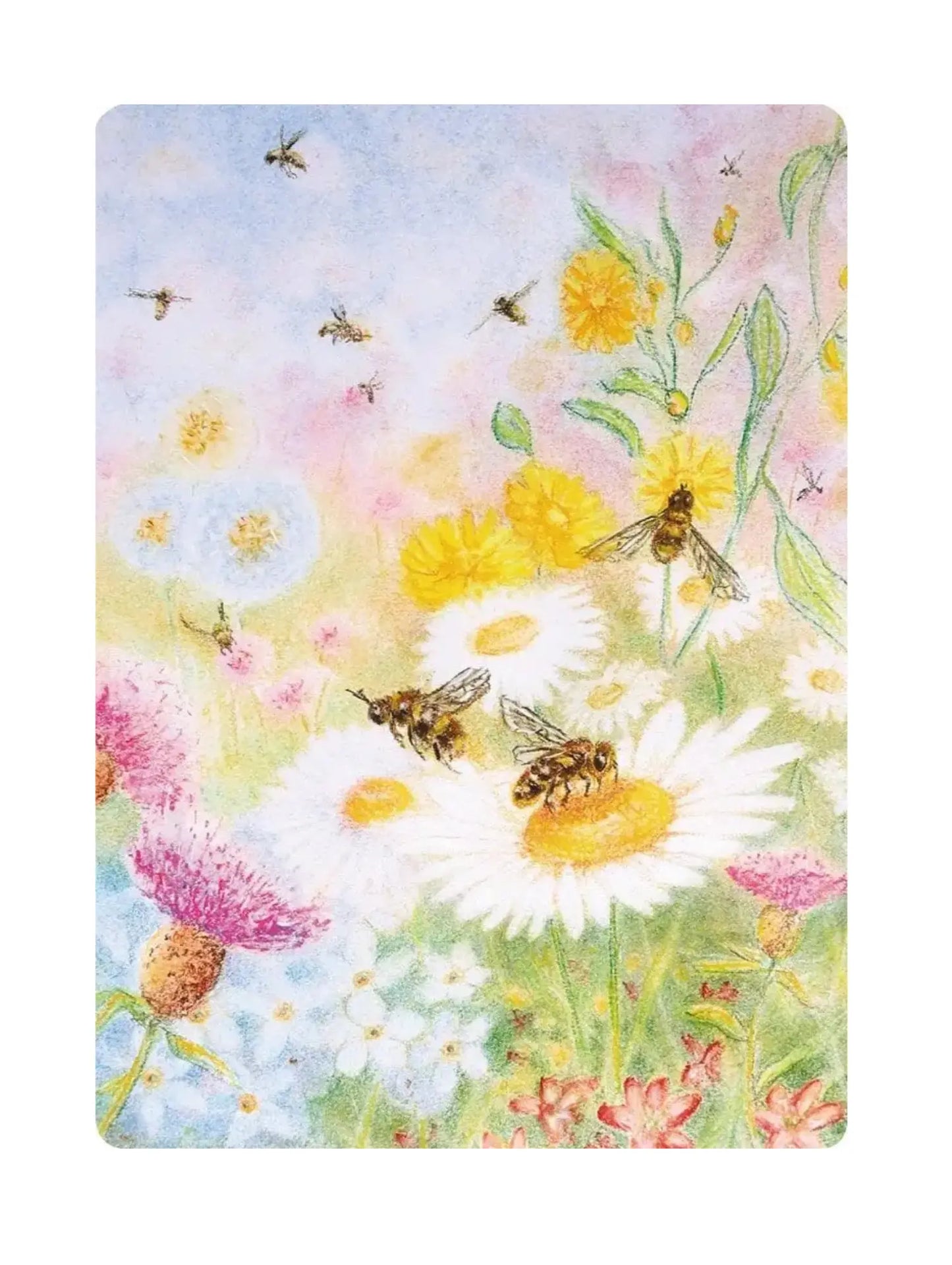Floral design postcard with bees on a colorful background