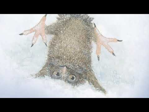 video clip of Olwen Finds Her Wings winter picture book with baby owl in snow on thumbnail