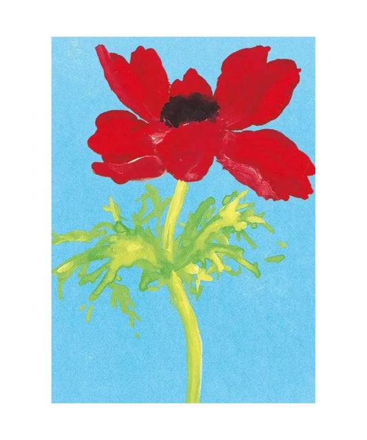 Red anemone flower with green stem on a blue background